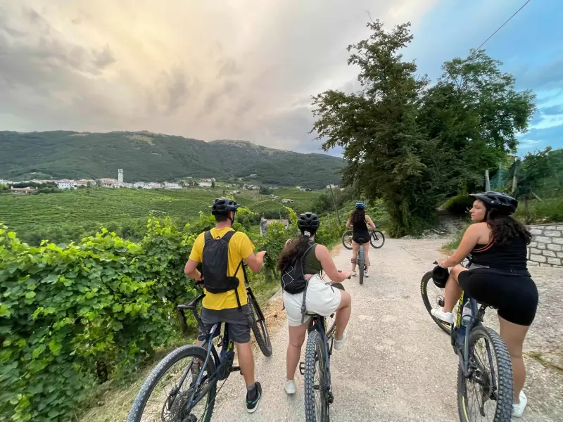 Prosecco Hills E-Bike Tour with Sommelier Wine Tasting