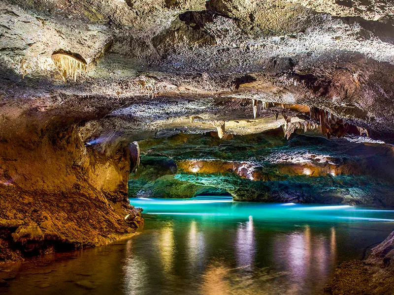 Skip-the-Line Caves of San José Half-Day Trip from Valencia