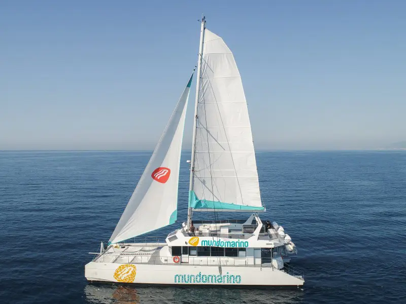 Express 1-Hour Málaga Catamaran Cruise