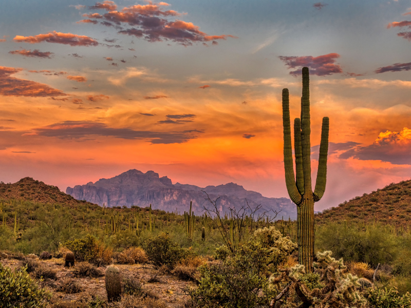 The Best Tours from Phoenix Arizona  Book Now