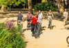 group and guide in vondelpark